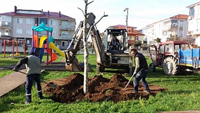Sökülen Ağaçlar Çocuk Parklarına Dikildi