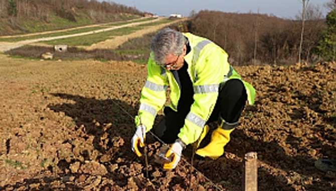 4 kilometre alana 31 bin 300 tohum