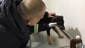 CAN DOSTLARIMIZ GÜVENDE