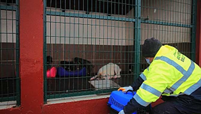 Can dostlarımızı unutmayalım