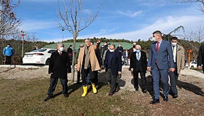 Çilek Üretim ve Eğitim Merkezi olacak