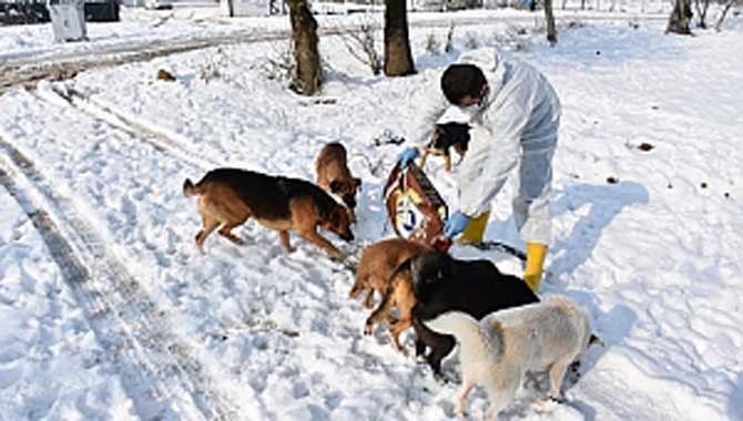 ERENLER DE CAN DOSTLARI UNUTMADI