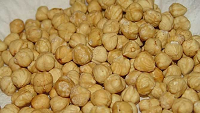 Fındık ihracatında düşüş