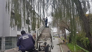 Sapanca’da Mevsimsel Bakım