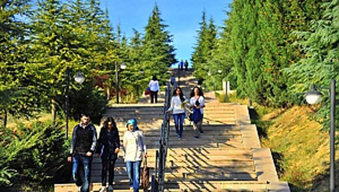 SAÜ'DEN TÜBİTAK’ta Büyük Başarı