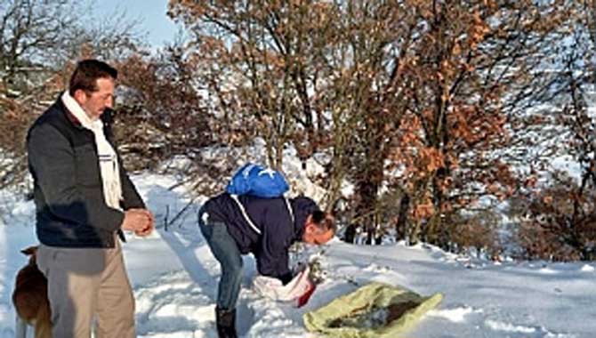 Sokak Hayvanlarına Şevkat Eli