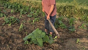 Türkiye’ye ekonomi kazandırıyor. 