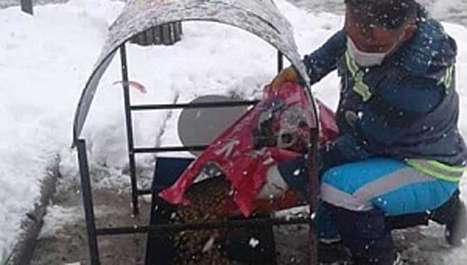 BARINAĞIMIZDA SICACIK SEVGİ VAR