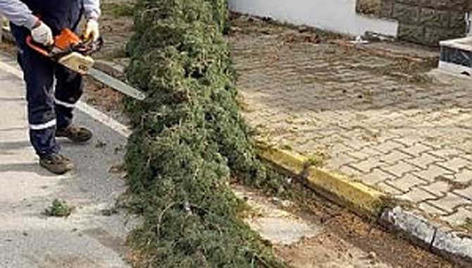 Can kaybı olmaması teselli oldu.