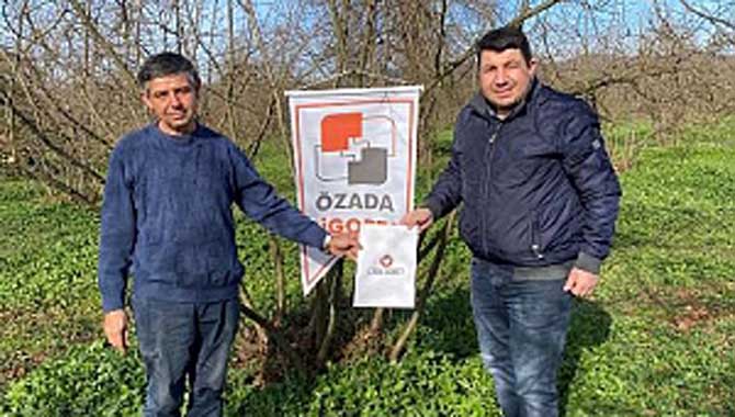 İlk fındık bahçesi sigortası