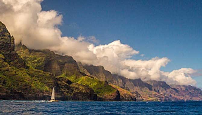 SAÜ’de başlayacak