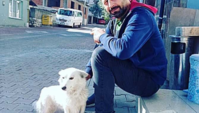 Sokak Hayvanları için Topluyor