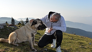 200 CAN DOSTA YENİ YUVA 