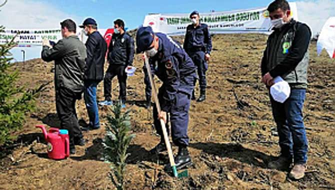  21 Mart Ormancılık Haftası Taraklı’da da Kutlandı