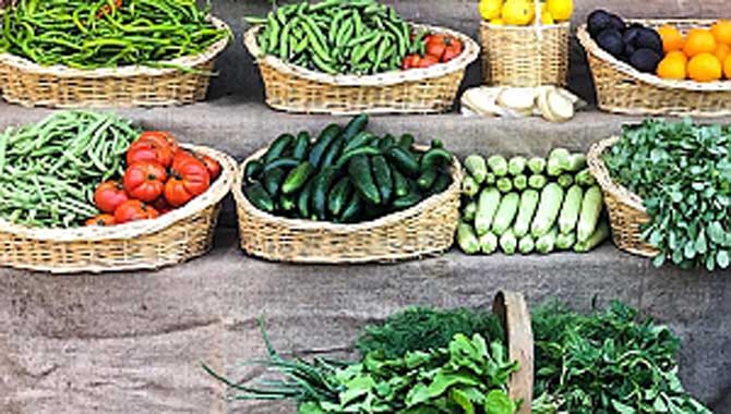 “Bugünün Çocukları, Tarımın Geleceği’’