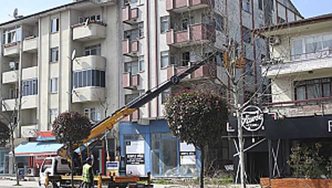 Büyükşehir ağaç budama çalışmalarını sürdürüyor