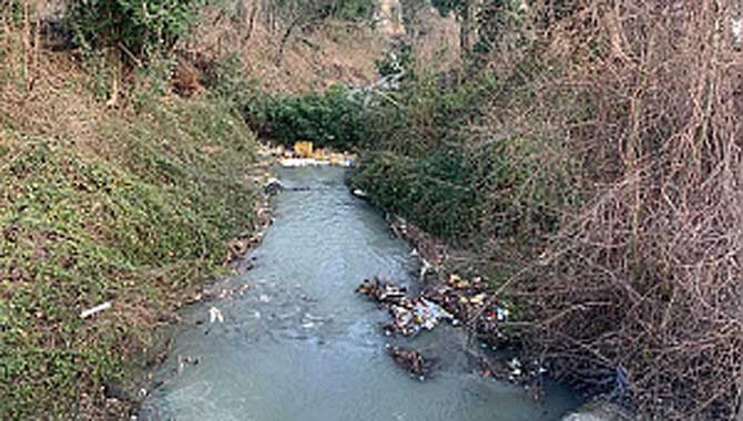Sapanca’yı besleyen dereler temiz akıyor