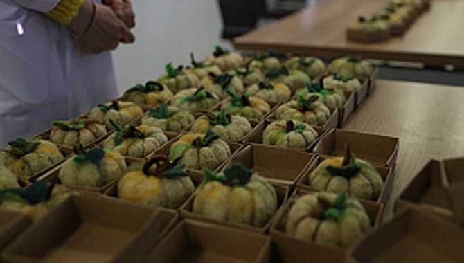 Şehrimizin marka değerini yükseltiyoruz