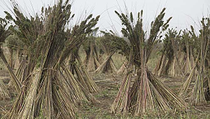 Sera A.Ş’nin tarım çalışmalarını tek tek anlattı: