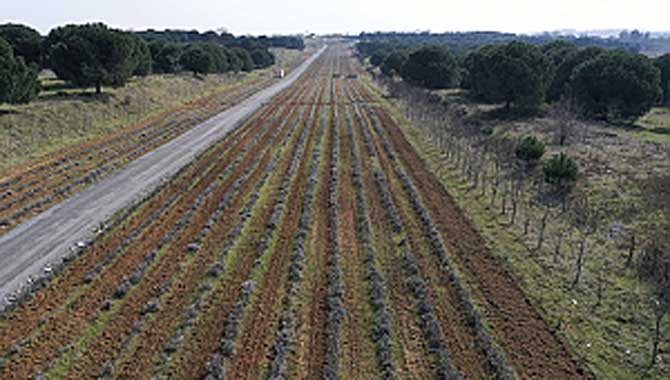 2 kilometre yürüyüş yolu yapılacak