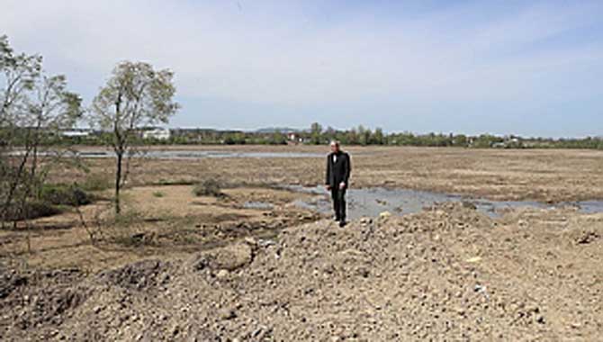 350 Dekarlık Arazide Endüstriyel Kenevir Üretilecek