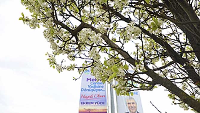 Çiçek açan ağaçlar görsel şölen sunuyor