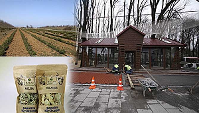 Sakarya tarımı iyi noktalara ulaşacak