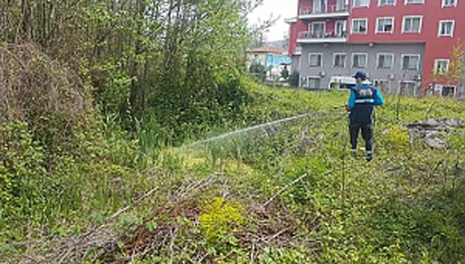 Sapanca’da Hazırlıklar Devam Ediyor