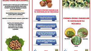 İHRACATÇILARDAN FINDIKTA ZİRAİ MÜCADELE