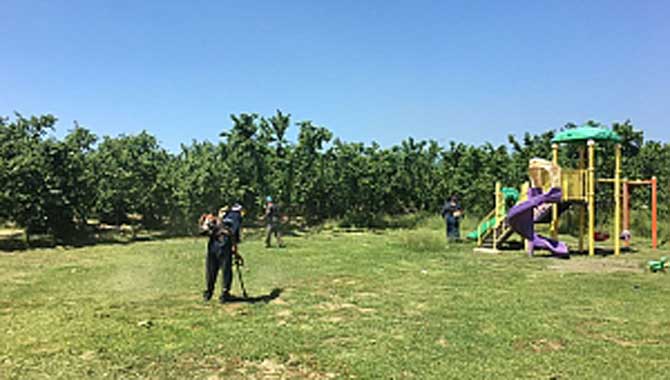 MAHALLELERDE YABANİ OTLA MÜCADELE SÜRÜYOR