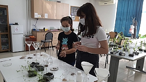 Sakarya Bilsem Fen Araştırma Proje Yarışmasında Türkiye Birincisi