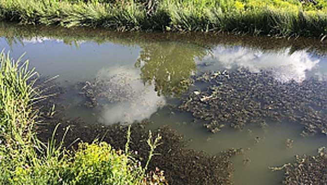 Saski’nin milyonluk yatırımları işlevsiz bırakılıyor