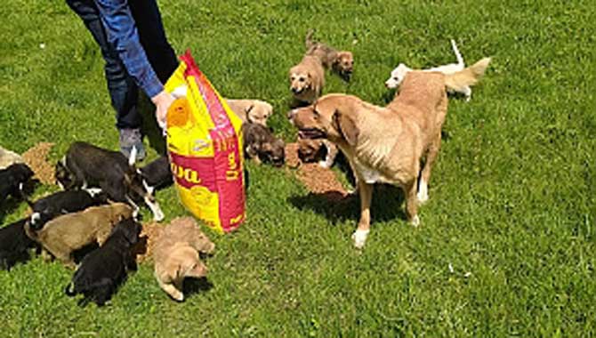 Tam Kapanmada Onlar Unutulmadı