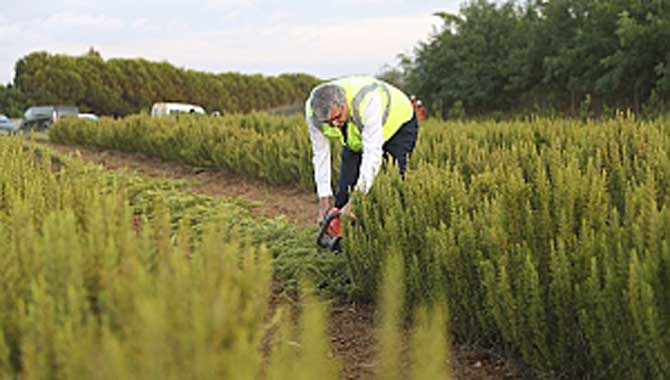 Tarım şehrimizin en önemli avantajlarından biridir