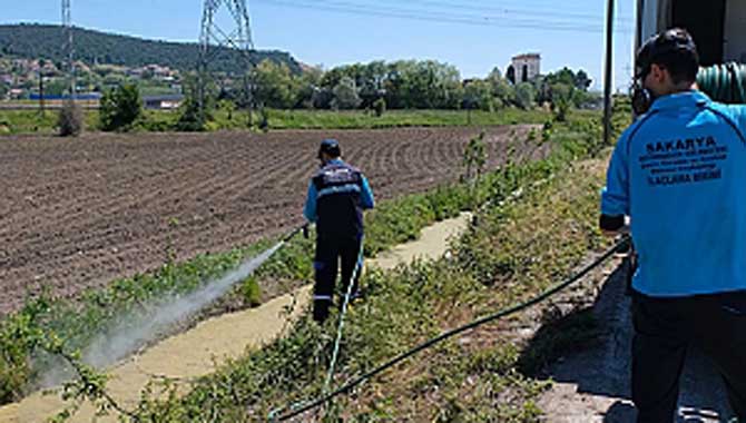 Vektörlerle mücadele ve ilaçlama aralıksız sürüyor