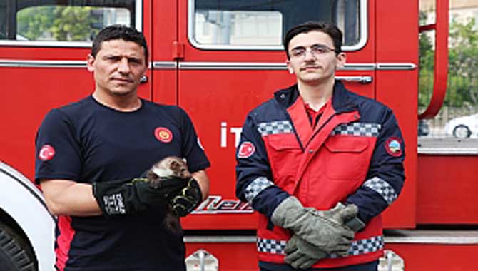 Davetsiz misafir artık ait olduğu yerde