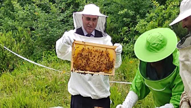 Sakarya arıcılıkta daha iyi noktalara ulaşacak