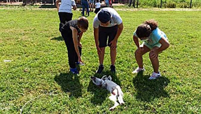 Büyükşehir Belediyesi öğrencileri minik dostları ile buluşturdu