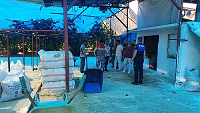 HENDEK KURBAN BAYRAMINA HAZIR