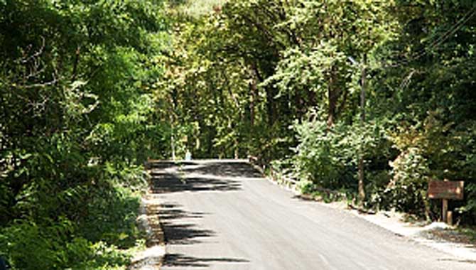 Başkan Yüce: “İl Ormanı yepyeni yüzüyle sizleri bekliyor”