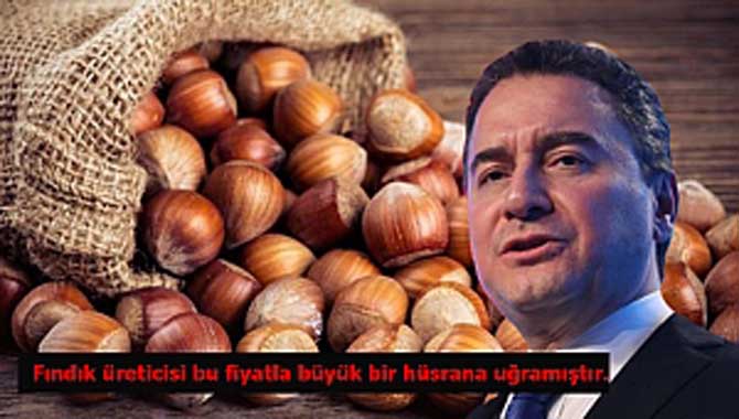 “Fındık üreticisi bu fiyatla büyük bir hüsrana uğramıştır.”