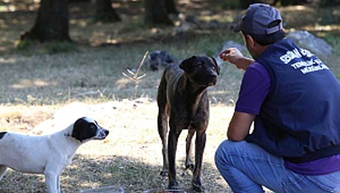 Onlar İçin 7/24 Sahadayız