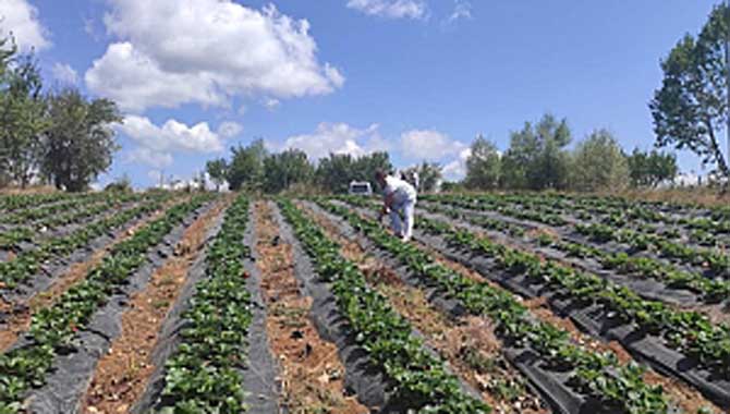 SAADET’Lİ AHMET ŞEN ÇİFTÇİLERİN SORUNLARINI DİNLEDİ