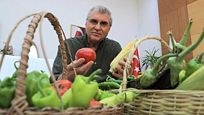 Topraktan sofraya: Ata Tohumu