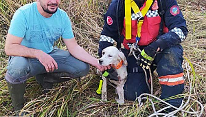 Leydi’nin imdadına Büyükşehir İtfaiyesi yetişti