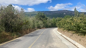 Taraklı Mahdumlar mahallesine v kanal 