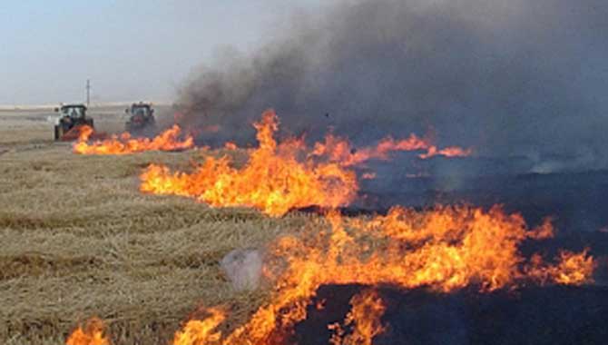 Büyükşehir anız yangınlarına karşı vatandaşları uyarıyor 