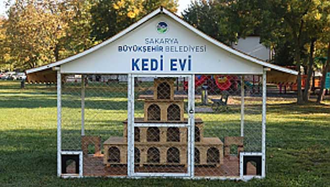 Büyükşehir Belediyesi’nden Kedi Evleri 