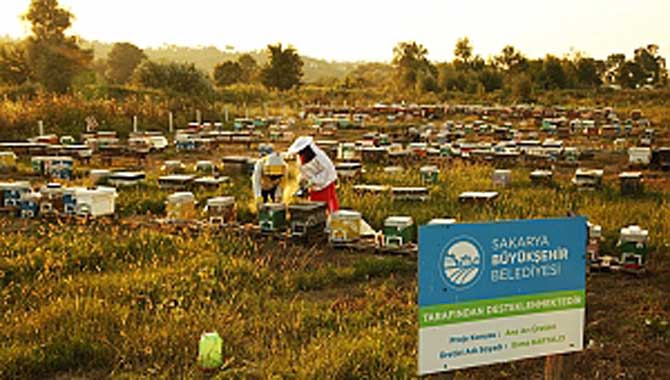 Büyükşehir'in ödüllü projesi ikinci yılında şehre 1 milyon 750 bin liralık katkı sağladı 