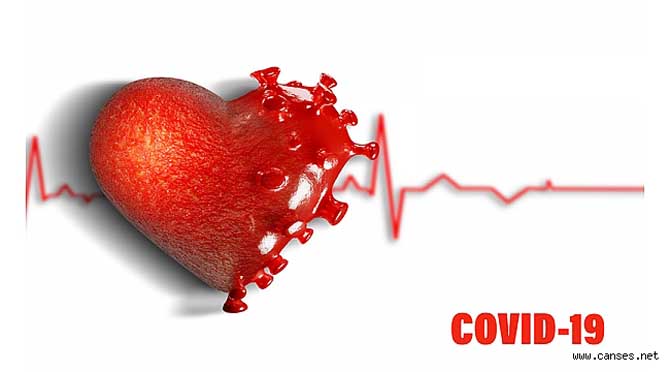 COVID-19 Aşısının Kalp ve Damar Sistemi Açısından Olabilecek Yan Etkileri